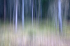 SEMA_Flasque_1