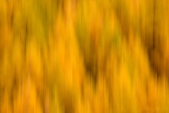 SEMA_Flasque_2
