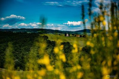 Florence_BG