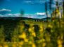 Florence_BG