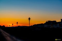 Florence-11