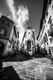 Florence-13