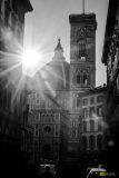 Florence-22