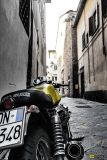 Florence-27