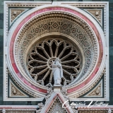 christian-Florence-15