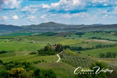 christian-Florence-28