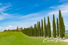 christian-Florence-29