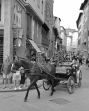 IMG_4264