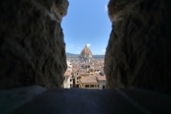 IMG_4443