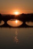 ED_Florence-17