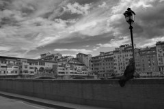 ED_Florence-2