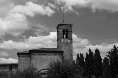 ED_Florence-21