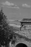 ED_Florence-22