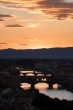 ED_Florence-8