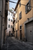 Florence_MPT-12