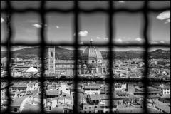 Florence_MPT-13