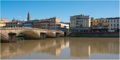 Florence_MPT-19