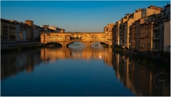 Florence_MPT-20