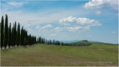 Florence_MPT-26