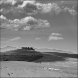 Florence_MPT-27