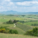 Florence_MPT-28