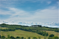 Florence_MPT-29