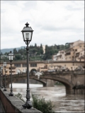 Florence_MPT-3