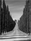 Florence_MPT-30
