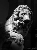 sema_Florence_Toscane_10