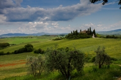 Florence_Sandra_29