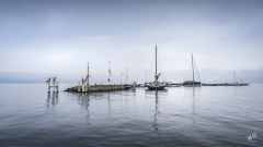 BD_Flottins-1