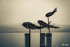 Flottins-2024-BenGail-1