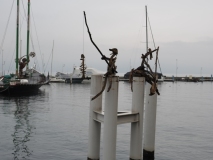 Rene_Les-Flottins-8