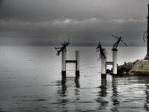Rene_Les-Flottins-9