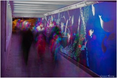 Laurent-geneva-lux-2022-4