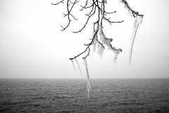 - Sébastien Martinet