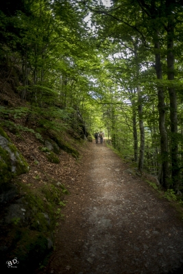 Gorges Dailley
