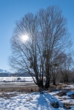 GB-2019-02_XT030218