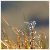 Laurent_photo-intuitive-2