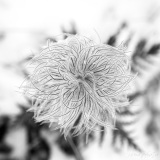 SEMA_PhotoIntuitive_4