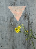 Nature urbaine