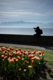 ED-Morges-5
