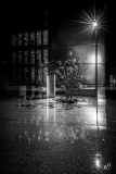 BD_Pluie-5