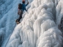 Le froid