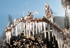 CO-Le-froid-0F4A2134