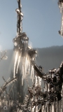 CO-Le-froid-0F4A2160-2