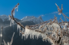 CO-Le-froid-0F4A2176