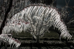 CO-Le-froid-0F4A2198-2