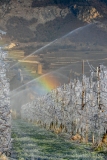 CO-Le-froid-0F4A2382