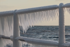 EER-Le-Froid_5467